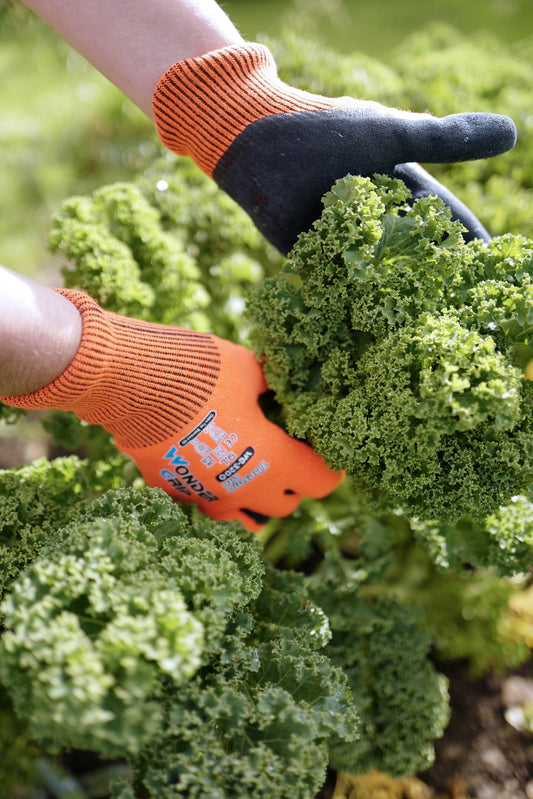 Thermal Gardening Gloves