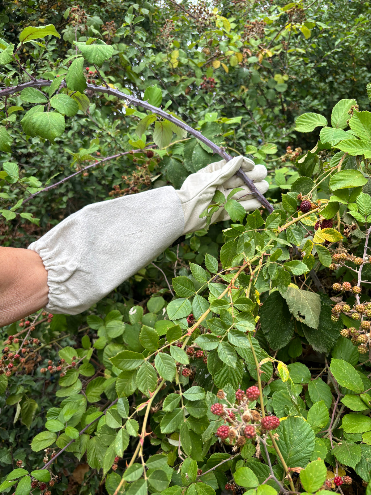 Beekeepers Gardening Gauntlets