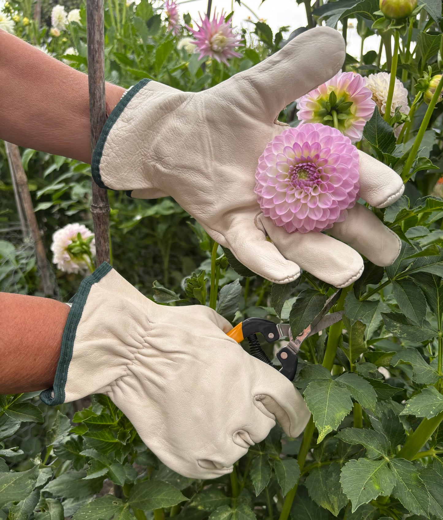 Unlined Leather Gardening Gloves
