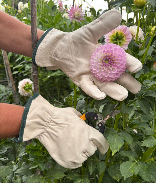Unlined Leather Gardening Gloves